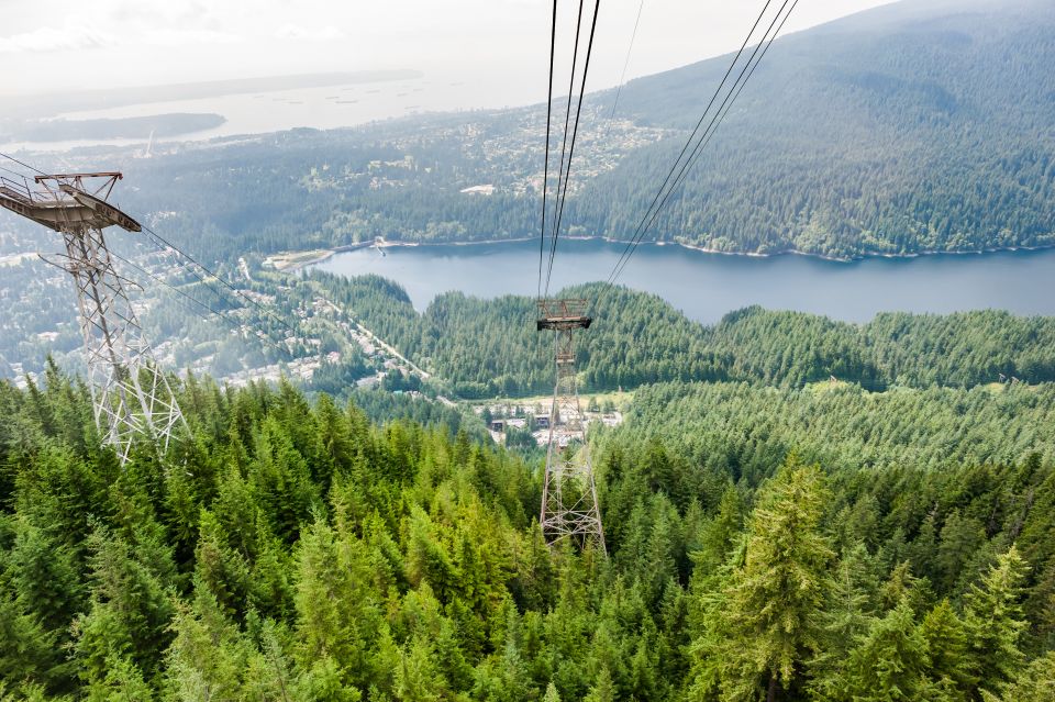 From Vancouver: Grouse Mountain & Capilano Suspension Bridge - Sum Up