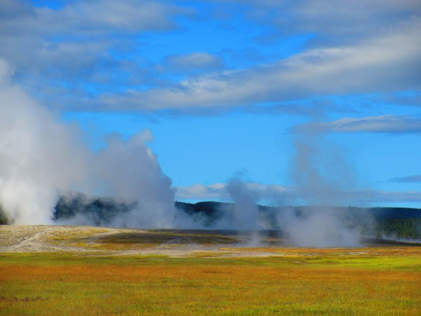 From West Yellowstone: Lower Loop Active Van Tour - Wildlife Viewing Equipment