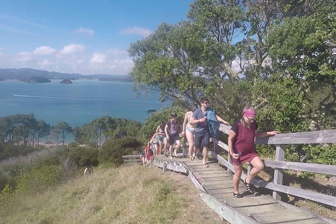 Full-Day Adventure Cruise With Lunch in Bay of Islands - Additional Traveler Information