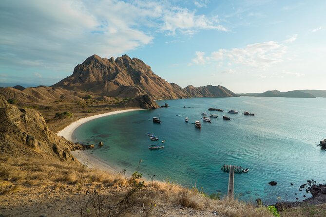 Full-Day Adventure Tour to Komodo Island With Join Speed Boat Tur - Tour Organization