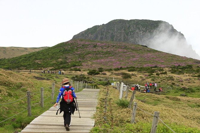 Full-Day Customizable Private Essential Jeju Island Tour for South Course - Common questions