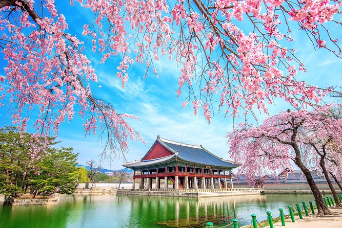 Full-day Customizable Private Seoul Highlight Tour - Booking and Cancellation Policy