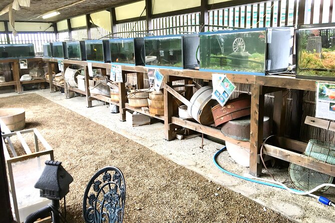 Full-Day Goldfish Unique Experience in Yamato-Koriyama, Nara - Common questions