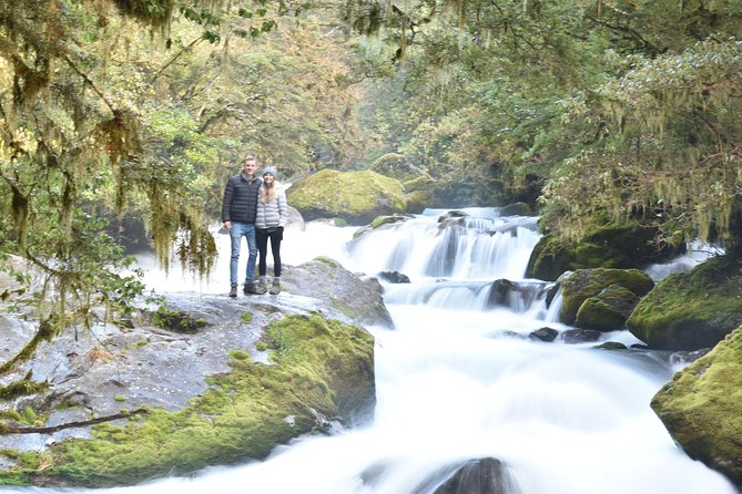 Full-Day Milford Sound Extraordinaire Tour From Te Anau - Additional Services and Feedback