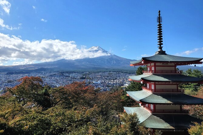 Full Day Mount Fuji Private Tour With English Speaking Guide - Payment Options