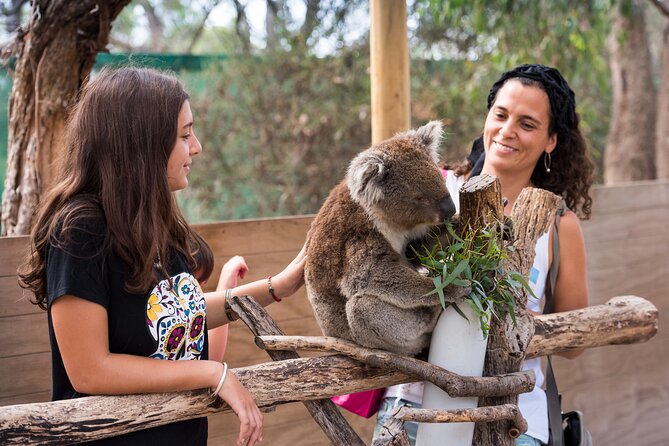 Full-Day Phillip Island Tour With Kangaroo, Koala and Penguin Parade - Visual Delights