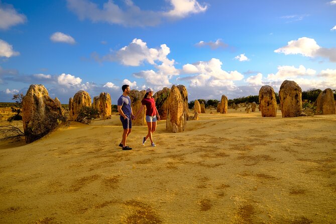 Full-Day Pinnacles Desert and Yanchep National Park Tour From Perth - Reviews and Ratings Summary