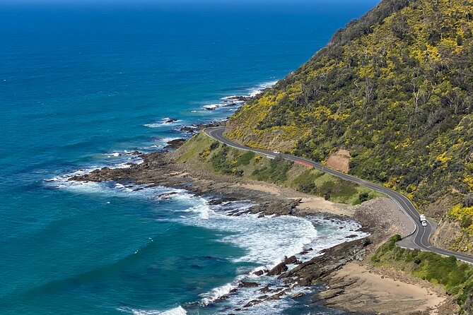 Full-day Private Great Ocean Road Day Tour - Additional Information
