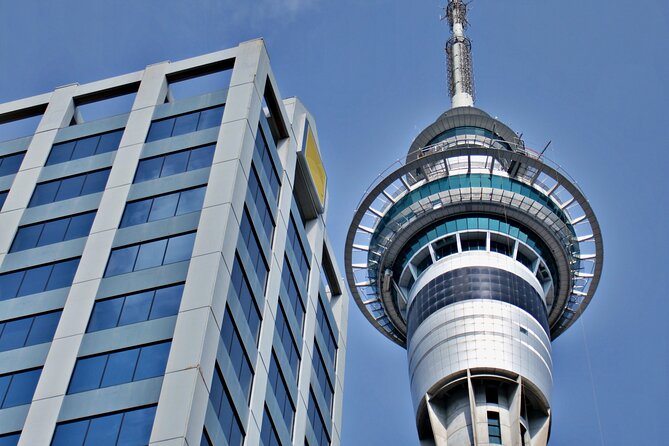 Full Day Private Shore Tour in Auckland From Auckland Cruise Port - Common questions