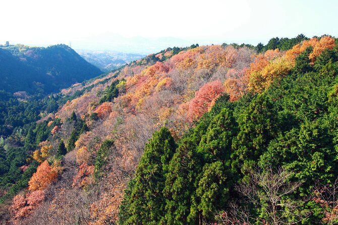 Full Day Private Tour in Hakone - Sum Up