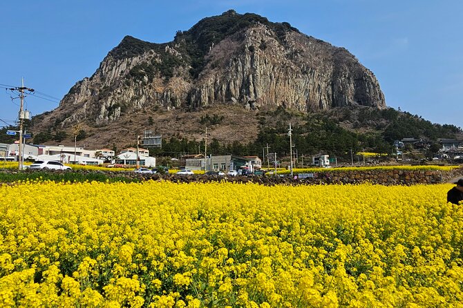 Full-Day Private Tour in Jeju Island - Sum Up
