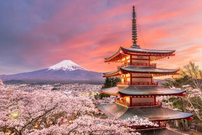 Full Day Private Tour To Mount Fuji Assisted By English Chauffeur - Terms and Conditions Reference