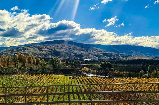 Full-Day Sommelier Guided Private Wine Tour of Central Otago - Additional Travel Information
