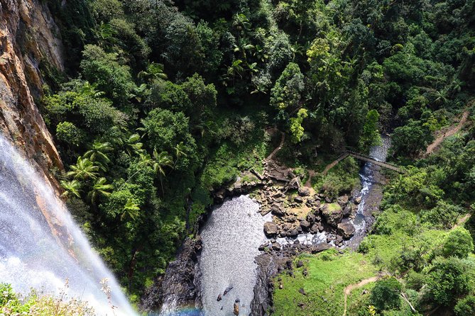 Full-Day Springbrook National Park Tour From the Gold Coast - Sum Up