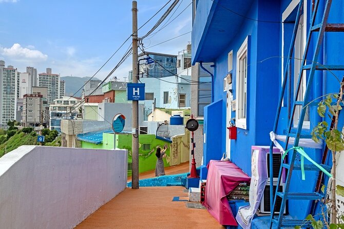 Full-Day Tour Unmissable Things to Do in Busan - Insightful Traveler Photos and Excerpts