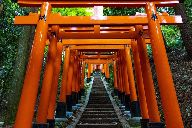 Fushimi Inari Mountain Hiking Tour With a Local Guide - Safety Precautions and Recommendations