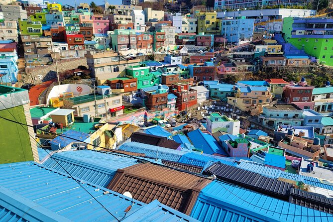 Gamcheon Culture Village, Jagalchi Fish Market Walking Tour - Sum Up