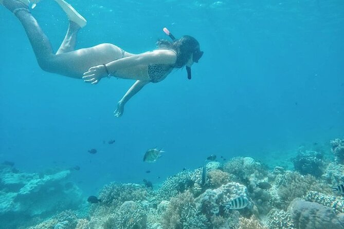 Gili Trawangan,Gili Meno& Gili Air Island:Snorkeling Day Trip Depart From Lombok - Common questions
