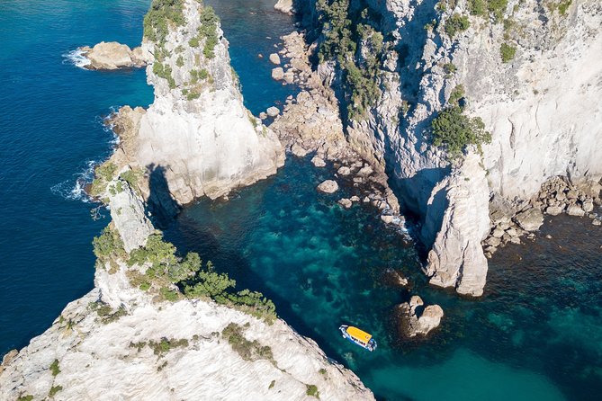 Glass Bottom Boat Whitianga Cathedral Cove Cruise - Additional Tips