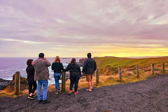 Golden Hour Penguins & Wine Tour With Pickups From Phillip Island - Customer Testimonials