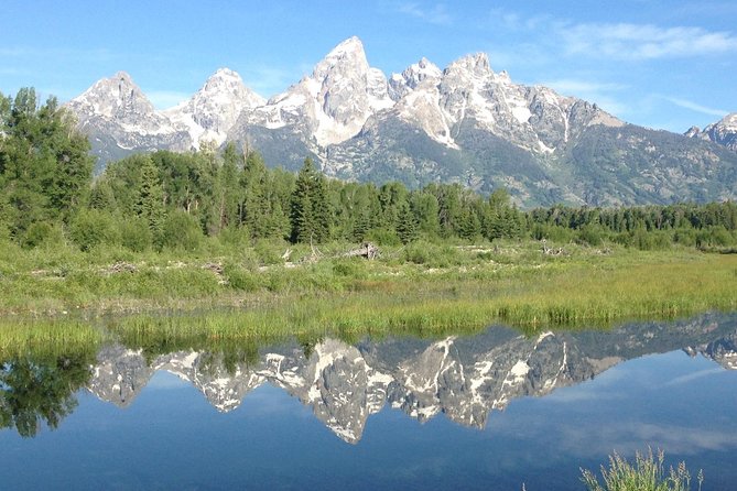 Grand Teton National Park - Full-Day Guided Tour From Jackson Hole - Guide Appreciation and Satisfied Customers
