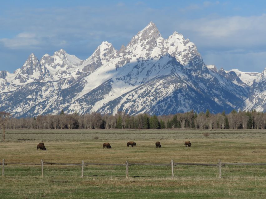 Grand Teton National Park: Full-Day Tour With Boat Ride - Common questions
