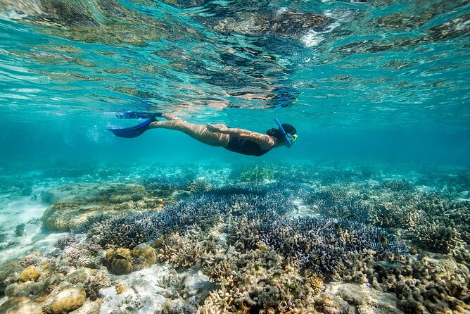 Great Barrier Reef Day Cruise to Reefworld - Customer Service and Overall Experience