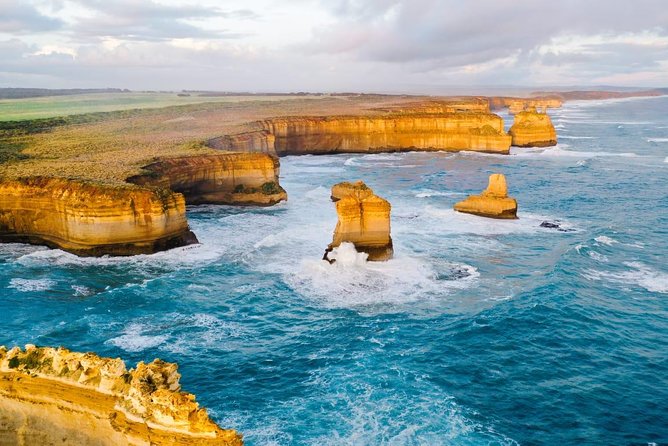Great Ocean Road Medium Size Group Tour - Reviews and Testimonials