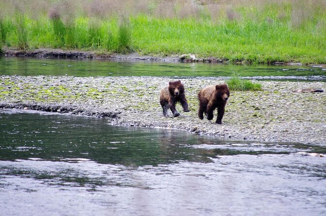 Grizzly Falls Ziplining Expedition - Key Points