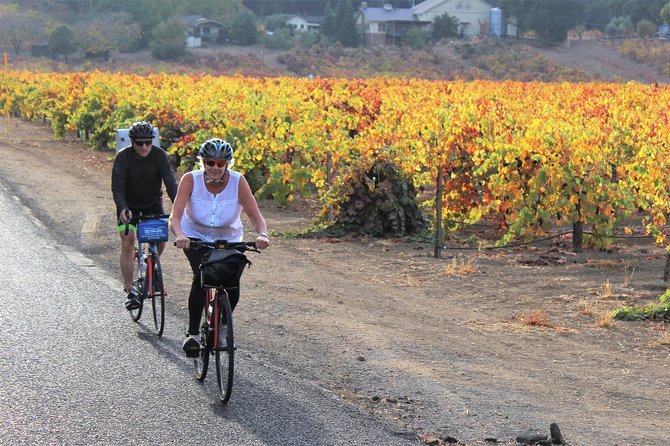 Guided Healdsburg Wine Country Bike and Wine Tasting Tour With Lunch - Tour Photo Gallery