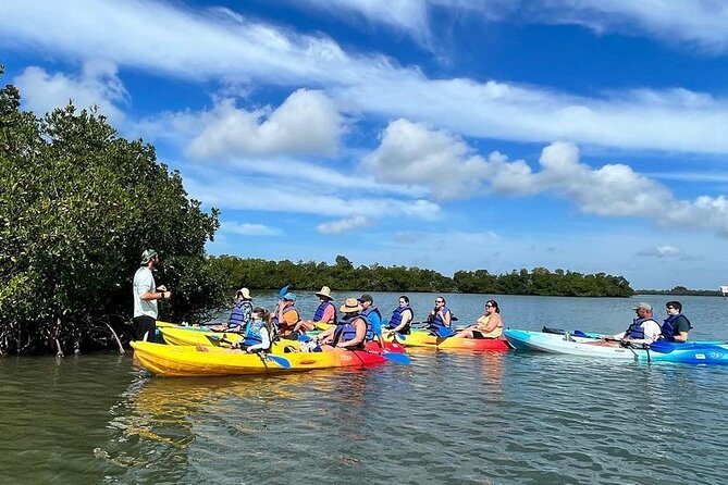 Guided Kayak Mangrove Ecotour in Rookery Bay Reserve, Naples - Directions