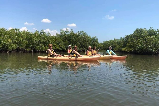 Guided Wildlife Eco Kayak Tour in New Smyrna Beach - Wildlife Encounters