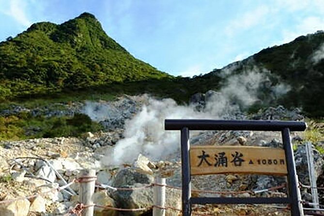 Hakone Day Tour With Lake Ashi Cruise and Ohwakudani - Booking and Pricing