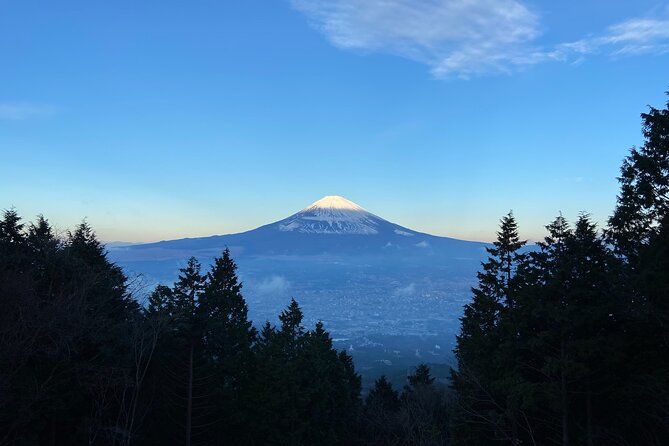 Hakone Old Tokaido Road and Volcano Half-Day Hiking Tour - Sum Up