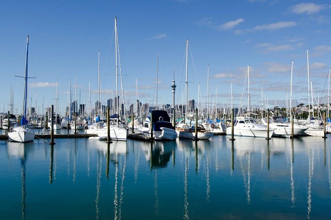 Half-day Discover Auckland City Sightseeing Tour - Common questions