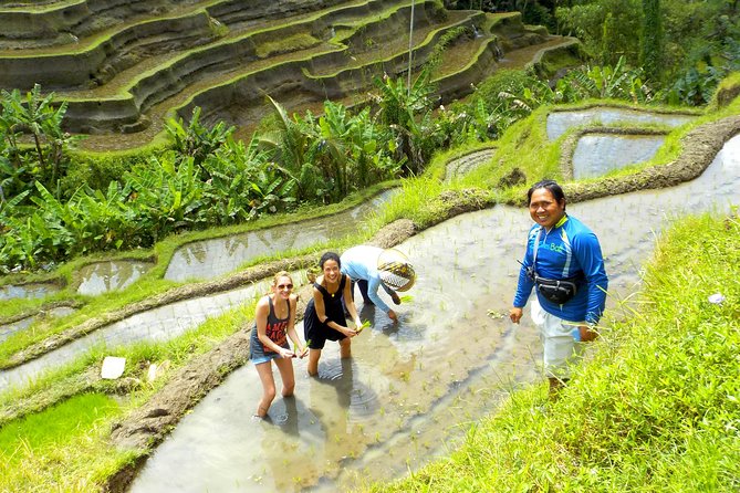 Half-Day Electric Cycling Tour of Ubud - Sum Up