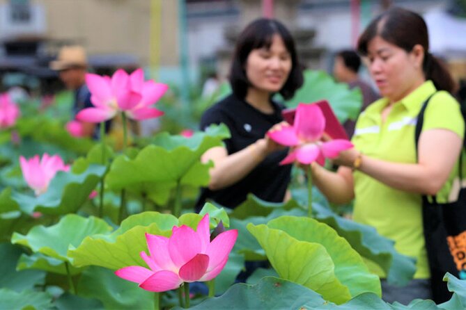 Half-Day Excursión Lotus Flowers and Local Foods From Busan - Weather-Dependent Refunds Policy