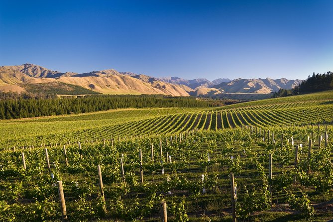 Half-Day Marlborough Wine Tour & Beer Tour - Sum Up