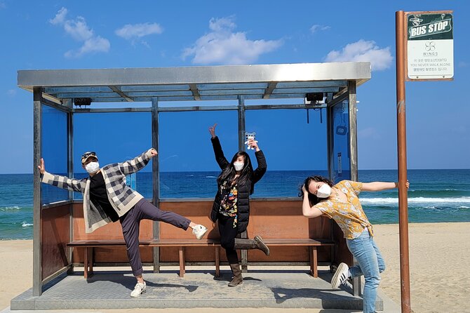 Half-Day Self-Guided Tour of Gangneung With Driver - Additional Information