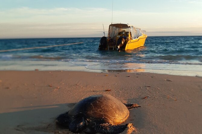 Half Day Snorkel 2.5hr Turtle Tour on the Ningaloo Reef, Exmouth - Weather and Traveler Requirements