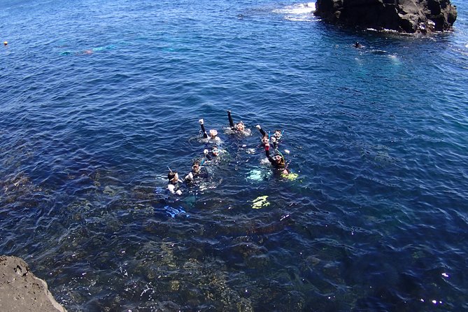 Half-Day Snorkeling Course Relieved at the Beginning Even in the Sea of Izu, Veteran Instructors Wil - Directions