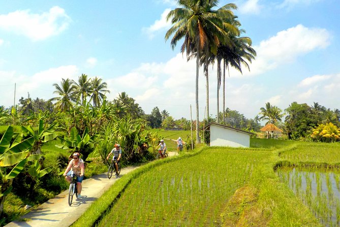 Half-Day Ubud Electric Cycling Tour to Tirta Empul Water Temple - Logistics and Pickup Points
