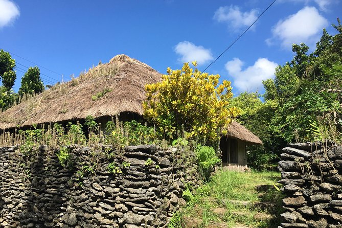 Half-Day Walking Tour to Indigenous Iriomote Village  - Iriomote-jima - Common questions