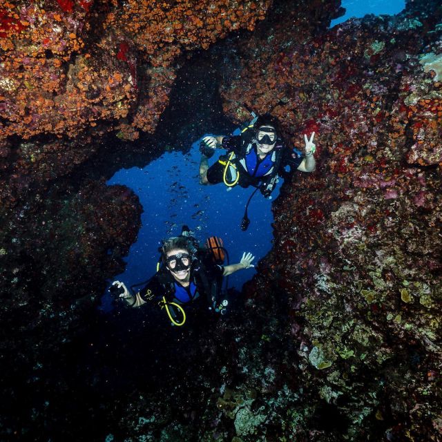 Hawaii: Small Group 2-Tank Lanai Cathedrals Dive - Sum Up