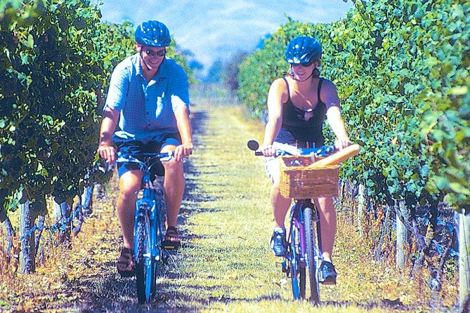Hawkes Bay Wineries Self-Guided Bike Tour - Reviews and Booking Information