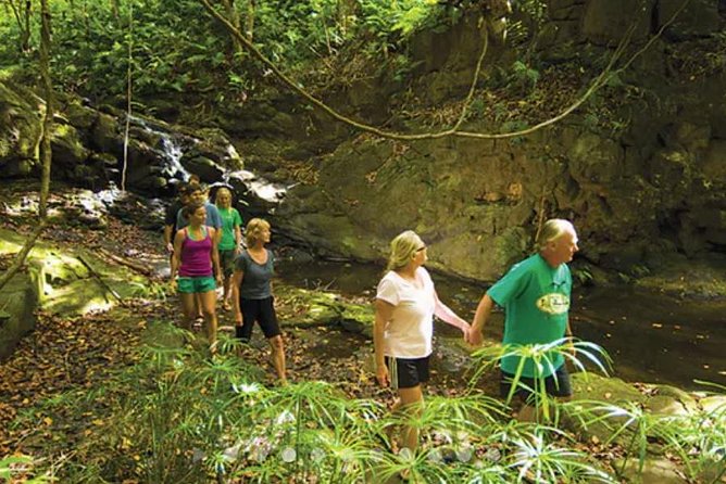 Hidden Valley Falls Kayak and Kauai Hike Adventure - Sum Up