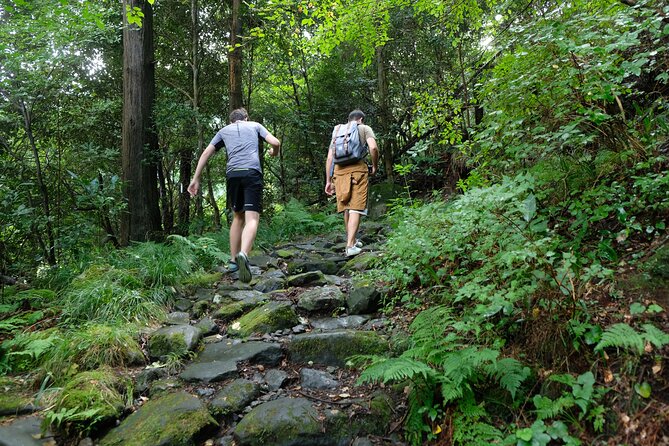 Hike Japan Heritage Hakone Hachiri With Certified Mountain Guide - Sum Up