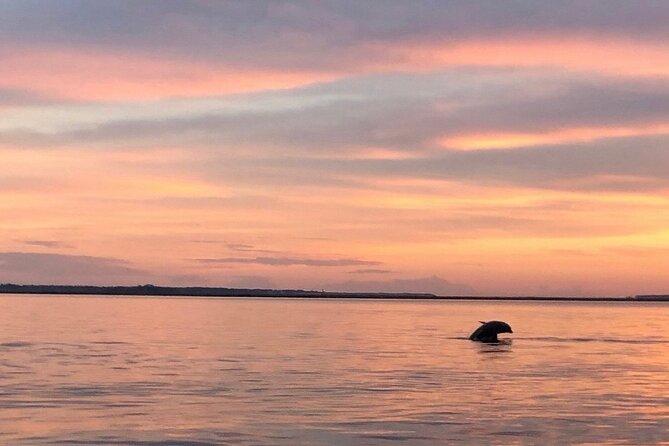 Hilton Head Island Dolphin Boat Cruise - Eco-friendly Practices & Conservation Efforts