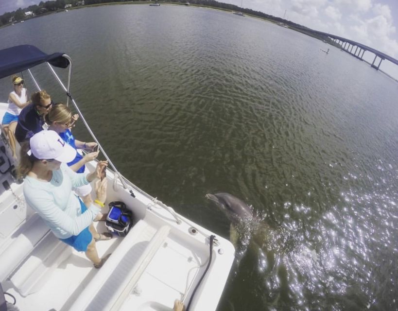 Hilton Head Island: Private Dolphin Watching Boat Tour - Helpful Directions for the Tour
