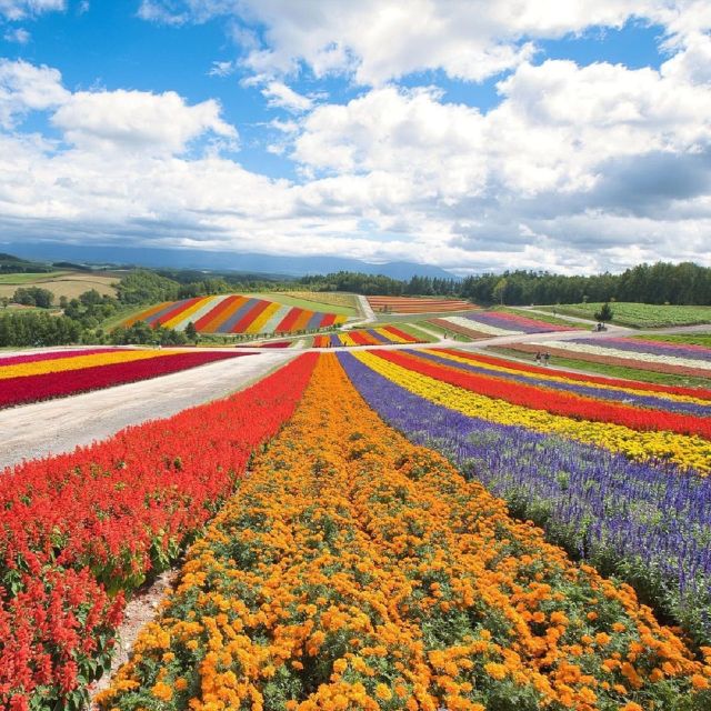Hokkaido: Biei Blue Pond and Furano Flower Farm Day Trip - Directions